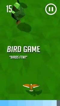 Bird Game Screen Shot 1