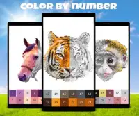Animals Color by Number: Animal Pixel Art Screen Shot 3