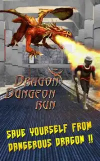 Dragon Dungeon Run Screen Shot 1