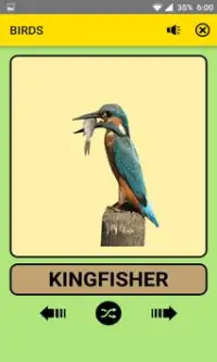 Animals and Birds For Kids : Educational Game Screen Shot 3
