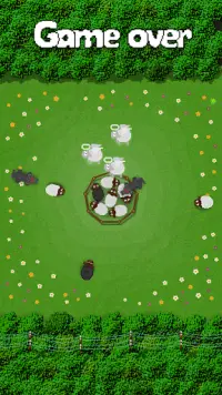 Волки против Овец:Sheep Shield Screen Shot 4