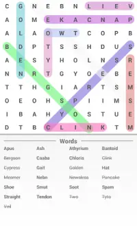 Word Search Puzzle Screen Shot 5