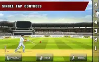 Tap Cricket 2013 Screen Shot 6