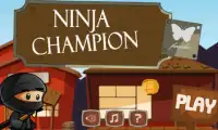 Ninja Adventure Screen Shot 1