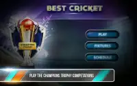 Best Cricket - Champions Cup Screen Shot 3