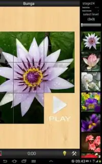 Best Flower game Screen Shot 2