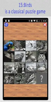 15:Birds Puzzle Screen Shot 0