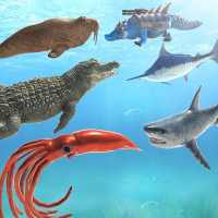 Sea Bataille Animal Kingdom: Simulateur Guerre