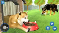 Dog Life Simulator Dog Games Screen Shot 1