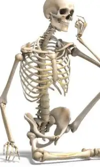 Skeletons Jigsaw Puzzles Screen Shot 0