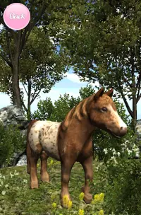 My Pony: Little Adventure Farm Screen Shot 1