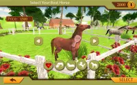 Horse Racing & Jumping Master 3D Stunts Screen Shot 2