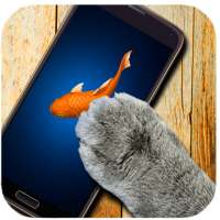 Fish Pointer for Cats Simulator