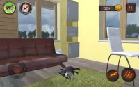 Simulador de cão AmStaffs Screen Shot 7