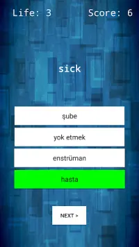 English - Turkish Word Quiz Screen Shot 2