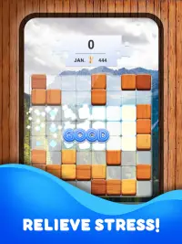 Wood Block Puzzle Game Screen Shot 7
