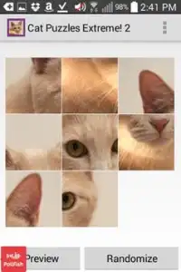 Cat Puzzles Extreme! 2 Screen Shot 2