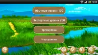 Камни драгоценные игра мыслей Screen Shot 6