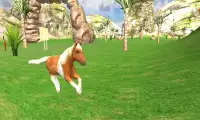 Cute Horse Pony Simulator Ride Screen Shot 2