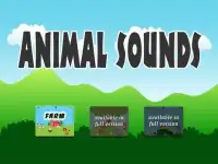 Fun Animal Sound Toddlers Lite Screen Shot 0