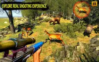 Wild Deer Hunting Adventure: Animal Shooting Games Screen Shot 4