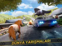 Güzel Midilli At Yarış Oyun 3D Screen Shot 9