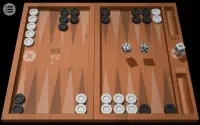Odesys Backgammon Screen Shot 3