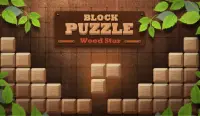 Block Puzzle Wood Star2020 Screen Shot 0