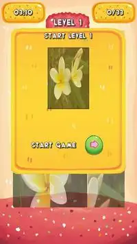 Plumeria Jigsaw Puzzles Screen Shot 4