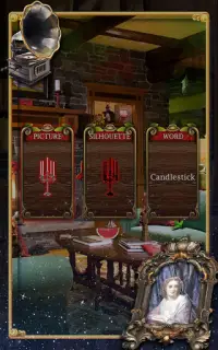 Hidden Objects: Secrets of the Mystery House Game Screen Shot 2