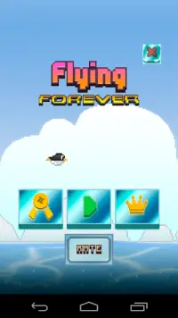 Flying Forever Screen Shot 1