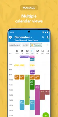 Teamup Kalender Screen Shot 2