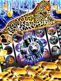 Snow Leopard Slots – Wild Spin Screen Shot 1
