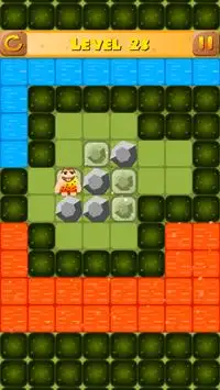 Caveman Sokoban : Puzzle Game Screen Shot 2