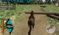 Horse Jumping Master Screen Shot 2