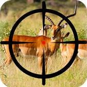 Deer Hunting Deluxe - Safari Wildlife Games