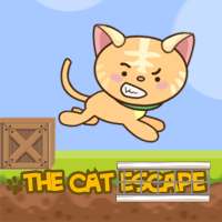 The Cat Escape