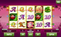 Lucky Lady Deluxe Slots Screen Shot 1