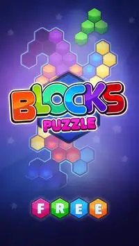 Blocks Puzzle Screen Shot 0