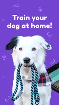 Puppr - Dog Training & Tricks Screen Shot 0