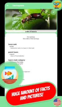 ANIMALS & PETS Quiz 2020 Screen Shot 5