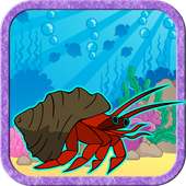 Crabby Surface Ocean