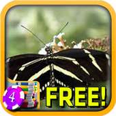 3D Zebra Longwing Butterfly