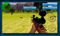 Rabbit Hunter Game Screen Shot 3