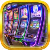 Dog-Cat Free Slot Machine Game Online