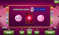 Lucky Lady Deluxe Slots Screen Shot 2