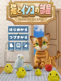 Parrots Escape 2 Screen Shot 6