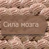 Сила мозга