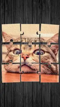 Schattige Katten Puzzelspellen Screen Shot 0
