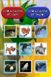 Kids Zoo - 3D Animated Animals Screen Shot 0